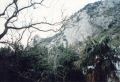 simeiz_3from-window.jpg